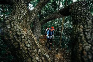 BIB: 
                            <button type="button" onclick="openModal(25392521)" class="btn btn-primary btn-sm float-right btn-popup" data-toggle="modal" data-target=".modal-high-quality">
                        <i class="fas fa-shopping-cart"></i> Add to Cart
                    </button>
                                            <button type="button" onclick="isThisMe(25392521, true)" class="btn btn-success btn-sm float-right btn-popup btn-isme hidden" data-toggle="tooltip" data-placement="bottom" title="นี่คือรูปของคุณใช่ไหม คลิกที่นี่เพื่อเอาเข้าอัลบั้ม">
                        <i class="fas fa-plus"></i> Add to album
                    </button>
                    <button type="button" onclick="isThisMe(25392521, false)" class="btn btn-warning btn-sm float-right btn-popup btn-isnotme hidden">
                        <i class="fas fa-ban"></i> Remove from album
                    </button>